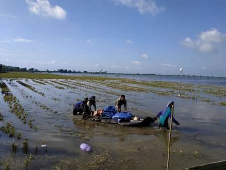 Kadang Air Menjadi Berkah Tapi Musibah Bagi Petani DiMargorejo