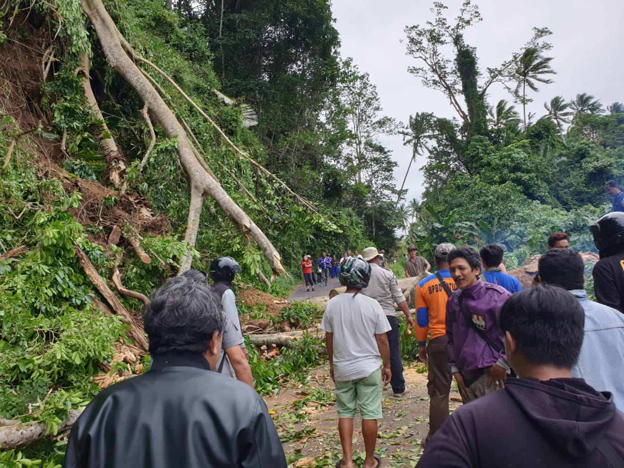 Respon Keluhan Warga, Kalaks BPBD Bitung Ingatkan Pengendara Jauhi Pepohonan Respon Keluhan Warga, Kalaks BPBD Bitung Ingatkan Pengendara Jauhi Pepohonan