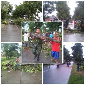 Pohon Tumbang Dievakuasi TNI dan Warga