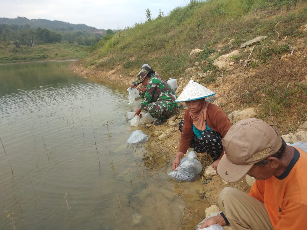 Demi Pelestarian Ikan Nila Satgas TMMD  Tebar 15.000 Bibit ikan Nila di Embung