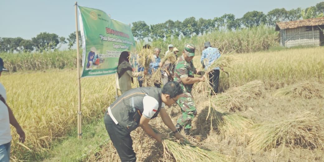 Sukseskan Swasembada Pangan, Babinsa Siap Terjun Kesawah