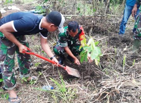 Cintai Lingkungan, Dandim 1310/Bitung Tanam Pohon Sebanyak 1500 Pohon