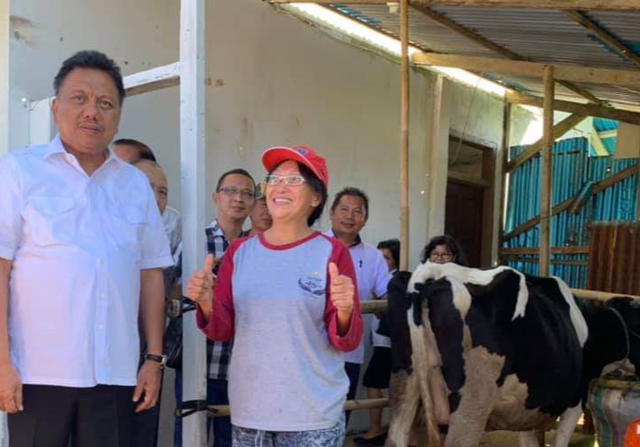 Pastikan Pengembangan Sapi Perah, Gubernur Olly Kunjungi Tampusu Pastikan Pengembangan Sapi Perah, Gubernur Olly Kunjungi Tampusu