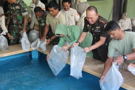 Kolam Dengan Sepuluh Ribu Ikan, Siap Terapi Terapi Anggota kodim Pati Kolam Dengan Sepuluh Ribu Ikan, Siap Terapi Terapi Anggota kodim Pati