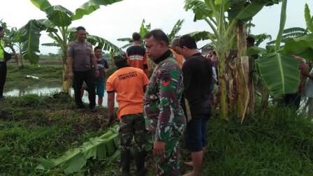 Heboh Penemuan Mayat Dalam Kolam Lele,  Babinsa Koramil Juwana  Bersama  Polsek  dan Warga Langsung Evakuasi