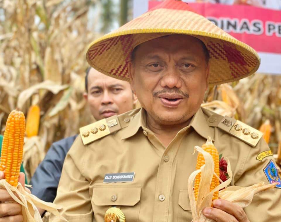 Gubernur OD Panen Jagung di Minut