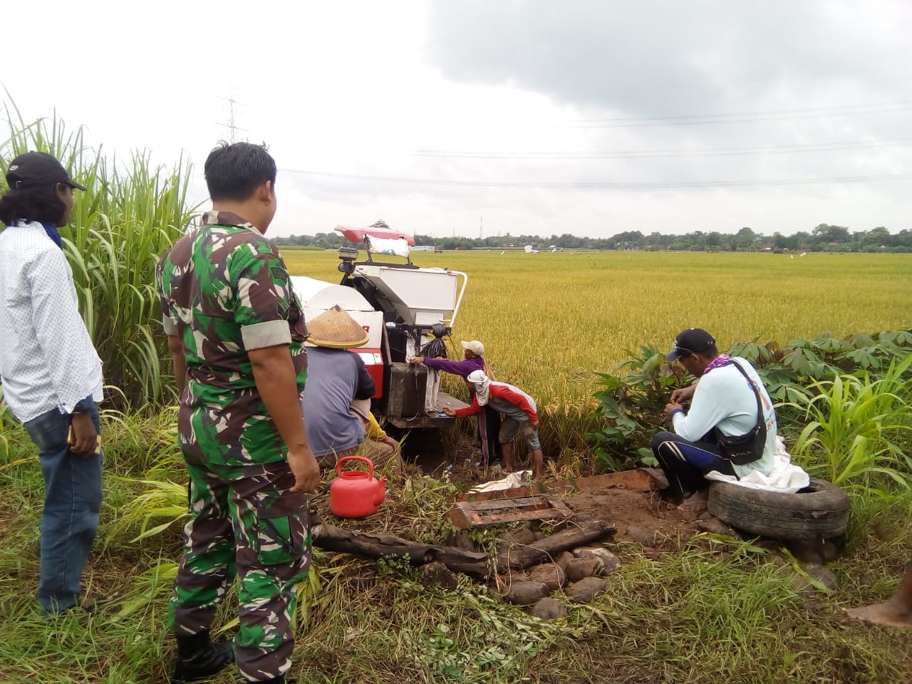 Usai Kegiatan TMMD Harga Jual Pertanian Meningkat.