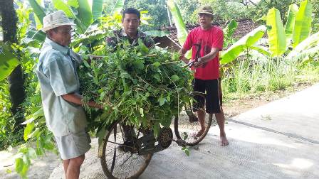 Jalan Betonsasi Dikerjakan Dengan Gotong Royong