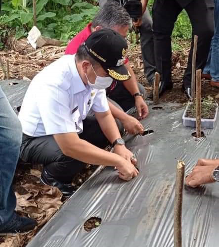 Wabup PYR Himbau Masyarakat Manfaatkan Lahan Tidur Pekarangan.