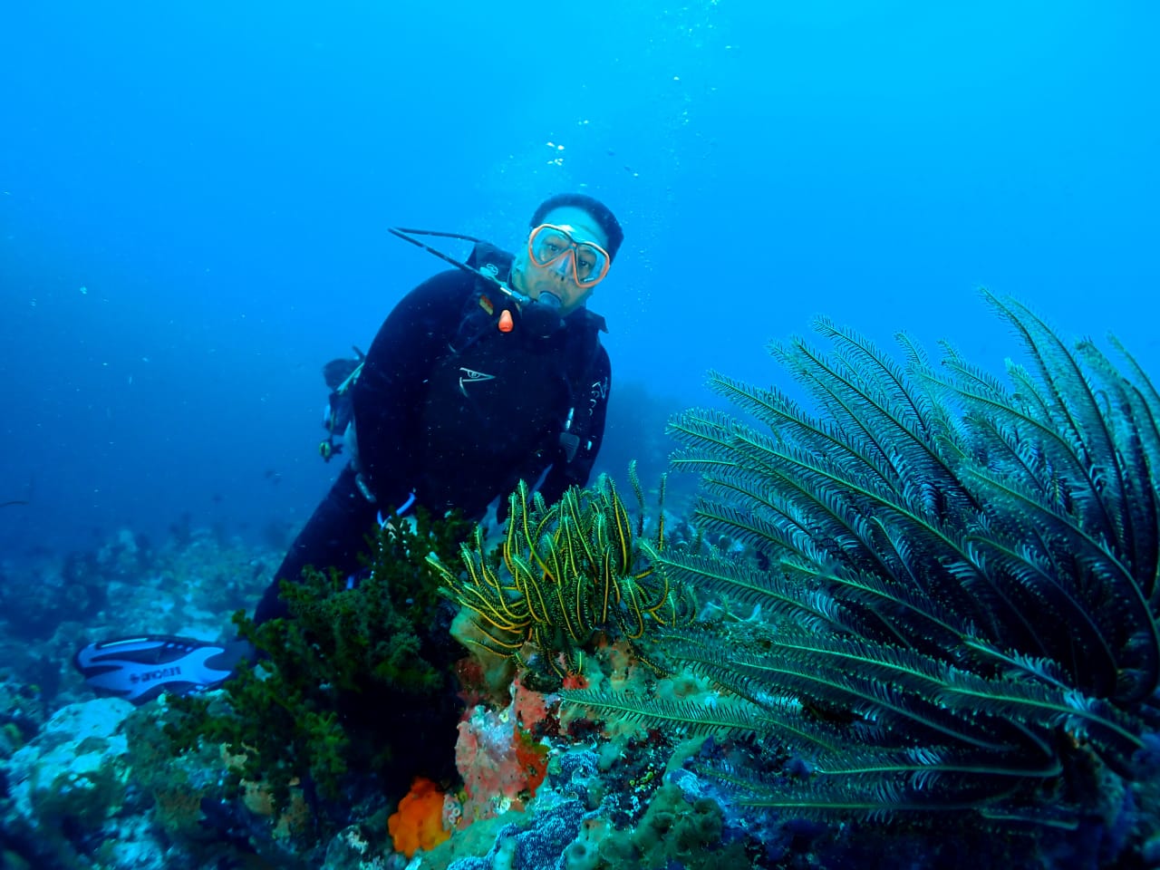 Alvin Taulu Kagumi Pesona Bawah Laut Likupang