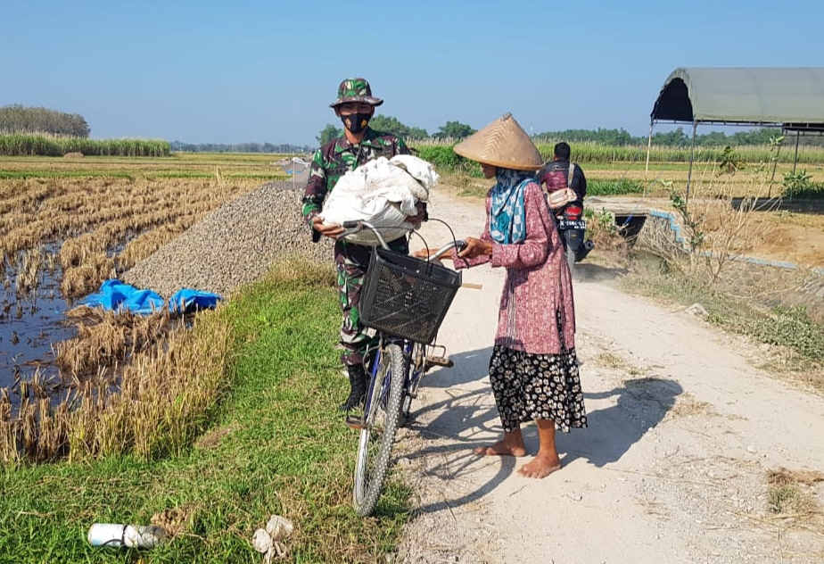 Pupuk Organik Masih Menjadi Andalan Petani Desa Tamansari Pupuk Organik Masih Menjadi Andalan Petani Desa Tamansari