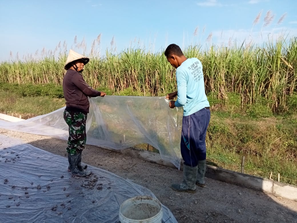 Pemasangan Papan Dan Plastik Untuk Pengecoran Jalan, Trik Khusus Agar Hasilnya Maksimal.