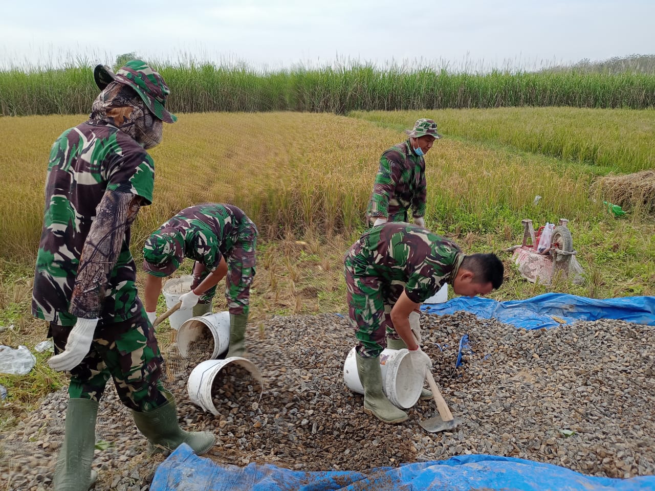 Banyaknya Koral Tidak Surutkan Semangat Anggota TNI