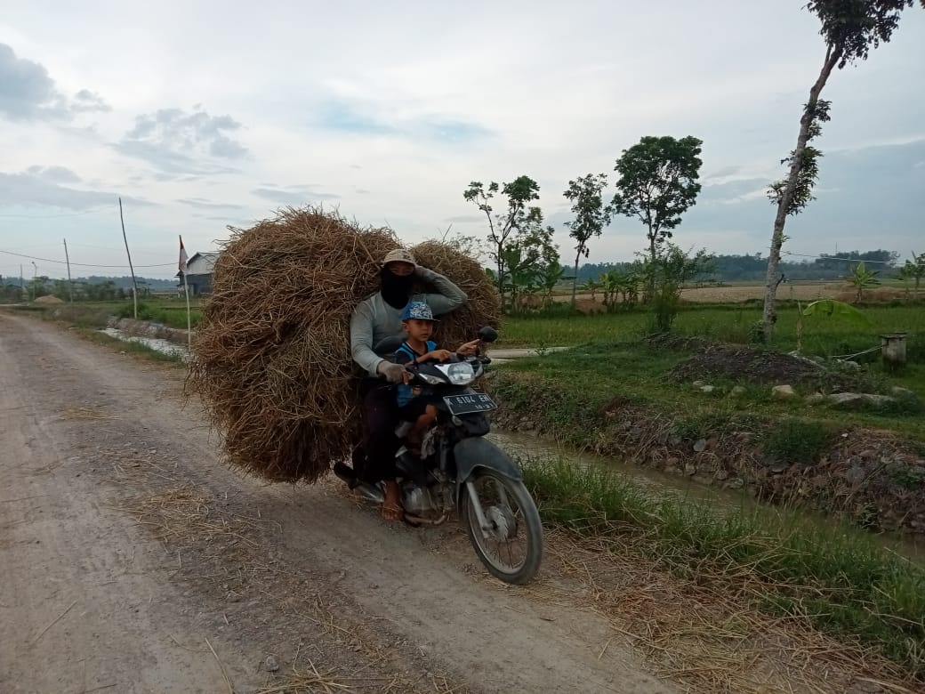 Belum Jadi 100% Jalan Penghubung Tamansari – Sumber Arum Sudah Bisa Dilewati Kendaraan.