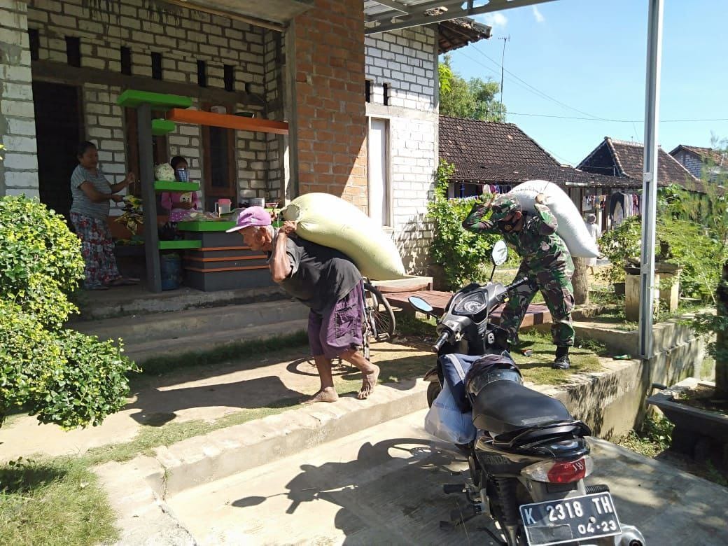NI Bantu Warga Jemur Padi Seperti Orang Tua Sendiri NI Bantu Warga Jemur Padi Seperti Orang Tua Sendiri