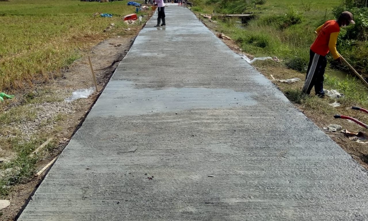 Seperti Jalan Tol Membelah Persawahan Desa Tamansari Seperti Jalan Tol Membelah Persawahan Desa Tamansari