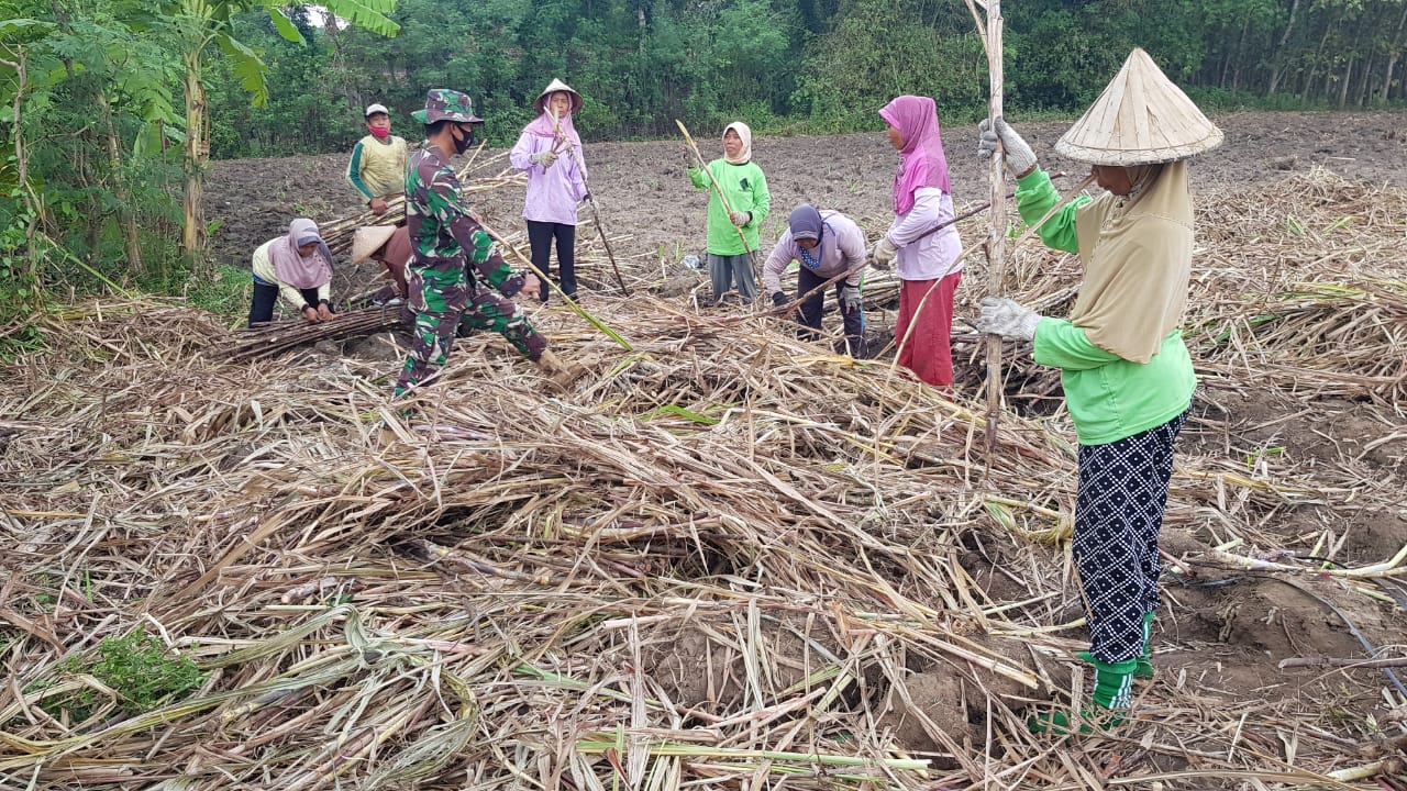 Sambil Membantu Satgas TMMD Jalin Keakraban Dengan Tukang Tebang Tebu