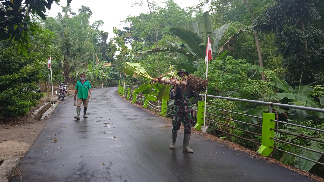 Manfaatkan Pekarangan Rumah Yang Kosong Untuk Ditanami Pisang. Manfaatkan Pekarangan Rumah Yang Kosong Untuk Ditanami Pisang.