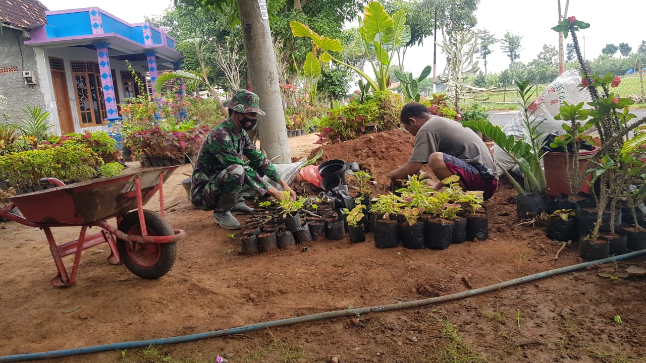 Tanaman Hias Kembali Berjaya Di Pasaran