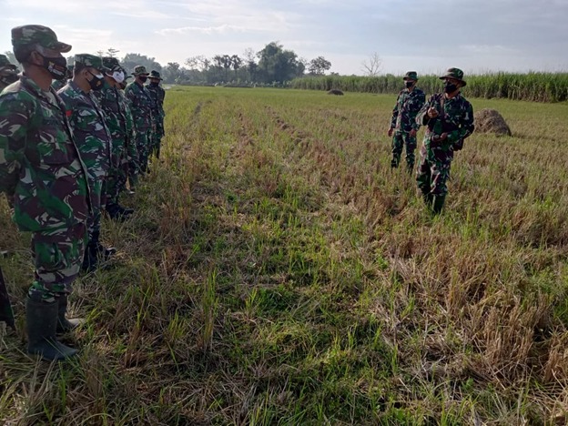 Anggota Satgas TMMD Reg 111 Melakanakan Apel Pagi di Sawah.