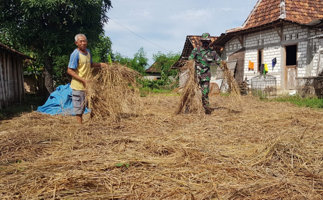 Keberadaan Satgas TMMD Di Desa Tamansari Juga Dirasakan Manfaatnya Oleh Sudarto