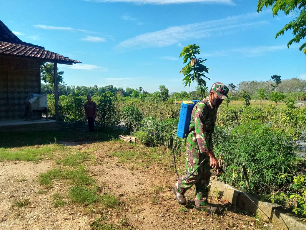 Bersihkan Lingkungan, Serda sukarji Bantu Semprot Rumput Dengan Herbisida Bersihkan Lingkungan, Serda sukarji Bantu Semprot Rumput Dengan Herbisida