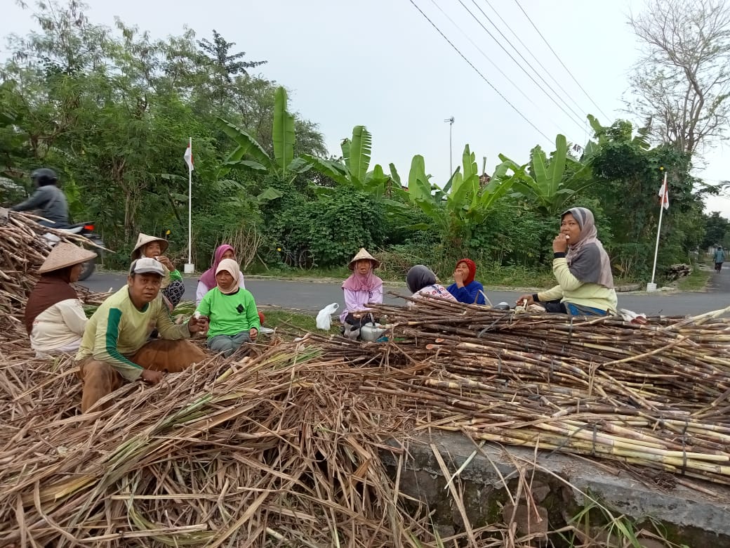 Petani Senang, Akses Jalan Menuju Persawahan Sudah Tidak Becek Lagi.