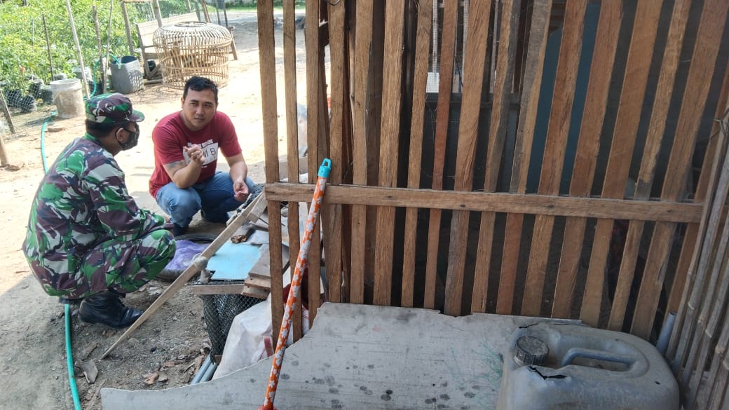 Berbagi cerita Sesama Pecinta Ayam Bangkok Saat Pra TMMD Berbagi cerita Sesama Pecinta Ayam Bangkok Saat Pra TMMD