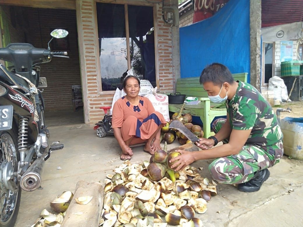 Anggota Satgas TMMD Bantu Warga Panen Dan Kupas Siwalan