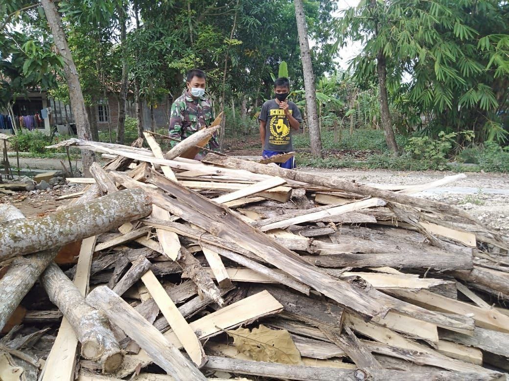 Satgas TMMD Kodim Pati, Bantu Warga Ambil Kayu Bakar