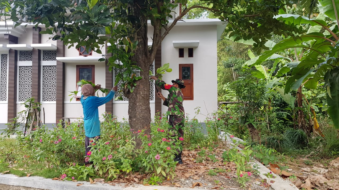 Anggota Satgas TMMD Bantu Warga Cari Ramban Pakan Ternak