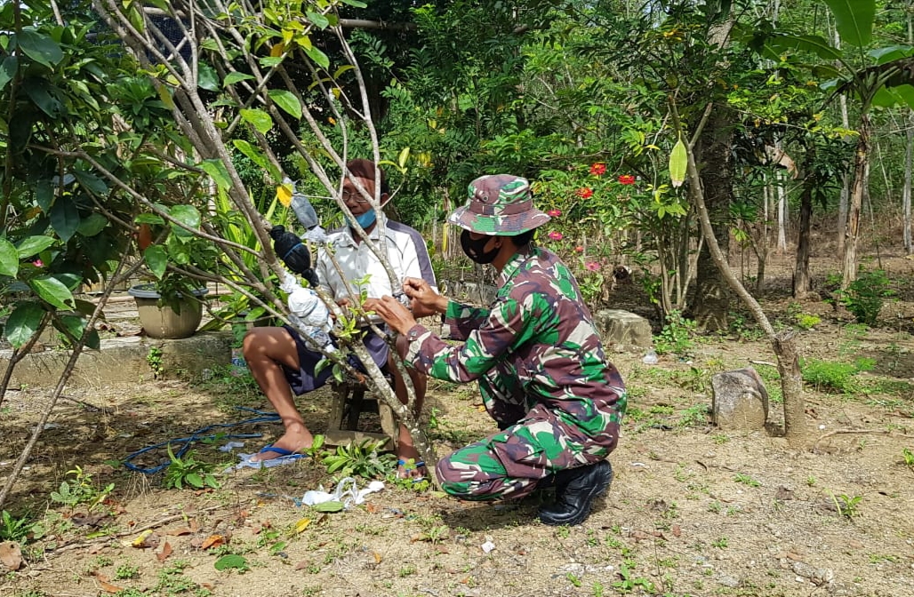 Serka Sukarji Mecoba Belajar Mencangkok Tanaman Buah Serka Sukarji Mecoba Belajar Mencangkok Tanaman Buah