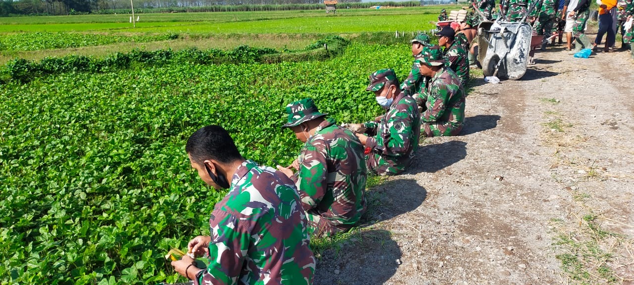 Nikmatnya Menikmati Hidangan di Alam Terbuka Dengan Hangatnya Pancaran Sinar Matahari Nikmatnya Menikmati Hidangan di Alam Terbuka Dengan Hangatnya Pancaran Sinar Matahari