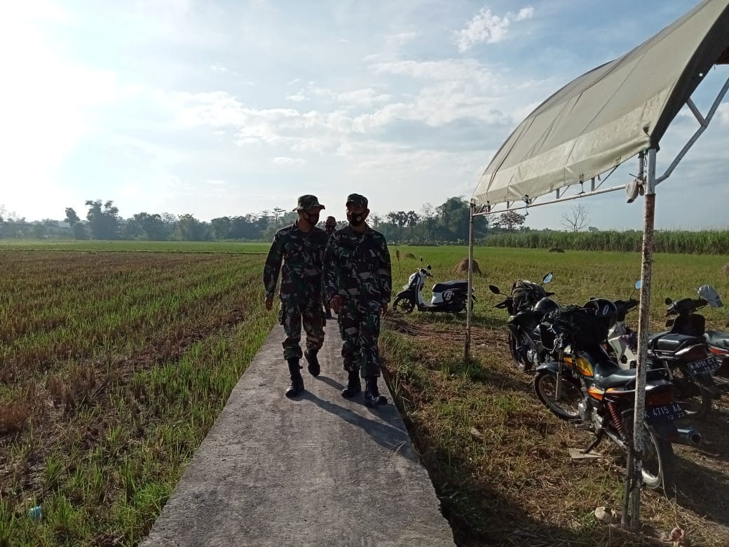 Satgas Diminta Kebut Pengecoran Jalan Satgas Diminta Kebut Pengecoran Jalan