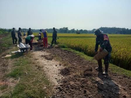 Kegiatan Pra TMMD digenjot, Satgas TMMD melakukan pengurukan jalan sebelum dilaksanakn betonisasi. Kegiatan Pra TMMD digenjot, Satgas TMMD melakukan pengurukan jalan sebelum dilaksanakn betonisasi.