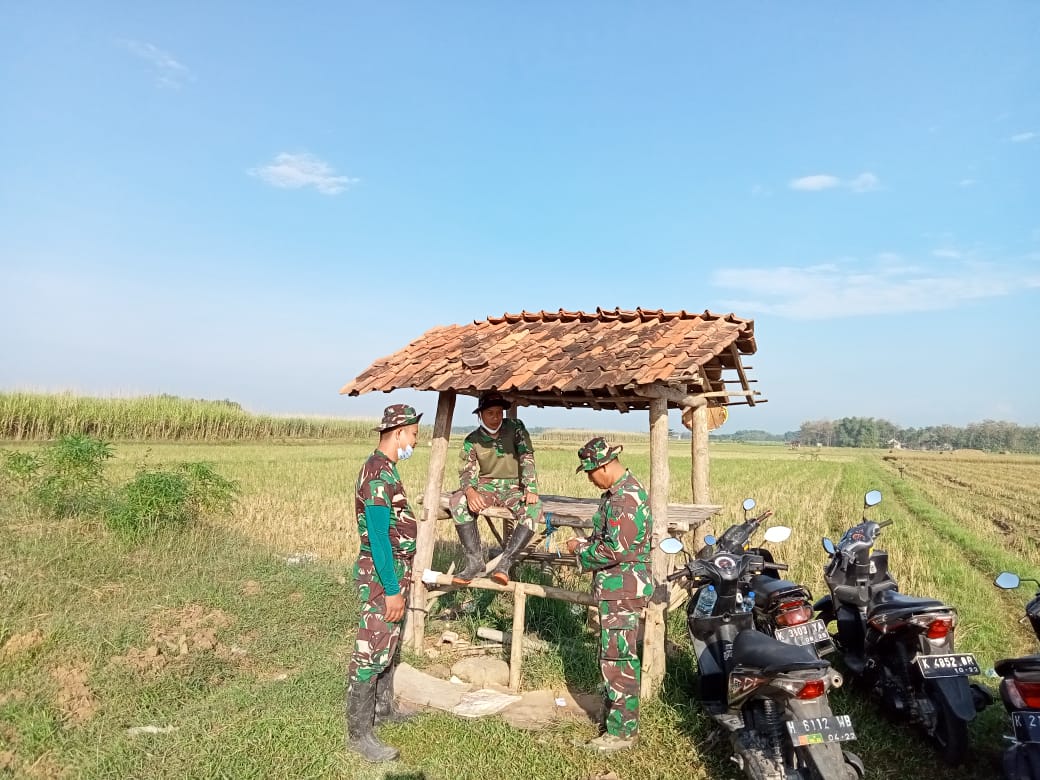 Gubuk Bambu Tengah Sawah Tempat Berlindung Dari Teriknya Sinar Matahari. Gubuk Bambu Tengah Sawah Tempat Berlindung Dari Teriknya Sinar Matahari.