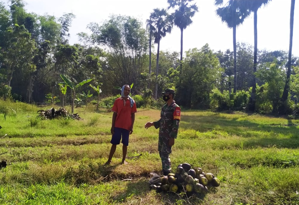 Harapan Sukijan Pemilik Pohon Siwalan Desa Tamansari Jaken