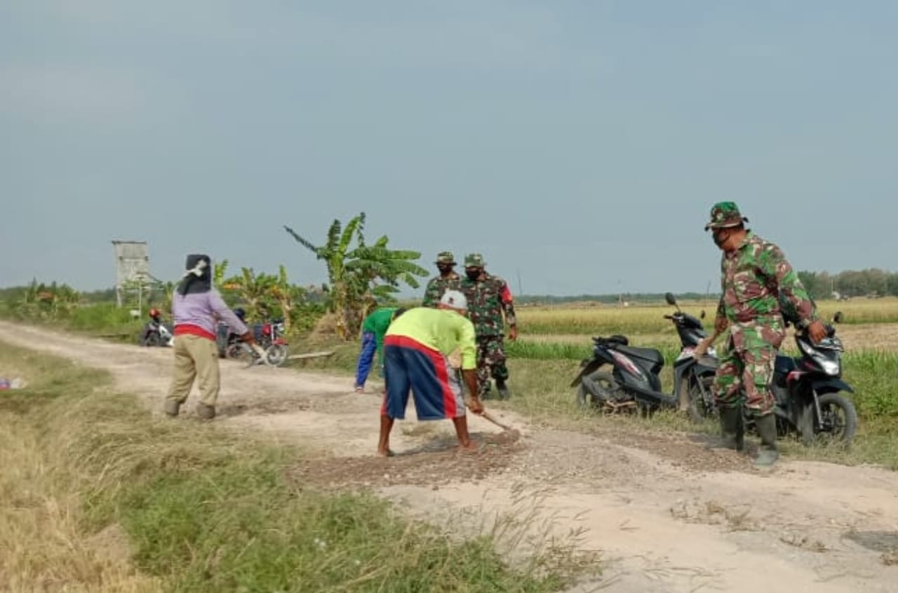 Penimbunan sebagai Pondasi Betonisasi Sasaran Pokok TMMD Reg 111 Kodim Pati Sudah Siap Penimbunan sebagai Pondasi Betonisasi Sasaran Pokok TMMD Reg 111 Kodim Pati Sudah Siap