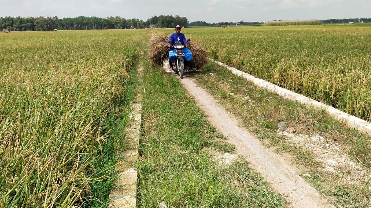 Tidak Lama lagi Jalan Menjadi Mulus Seperti Jalan Tol