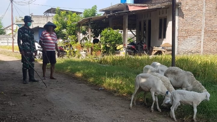 Mbah Wiryo Merasa Beruntung Dengan Adanya Jalan Betonisasi