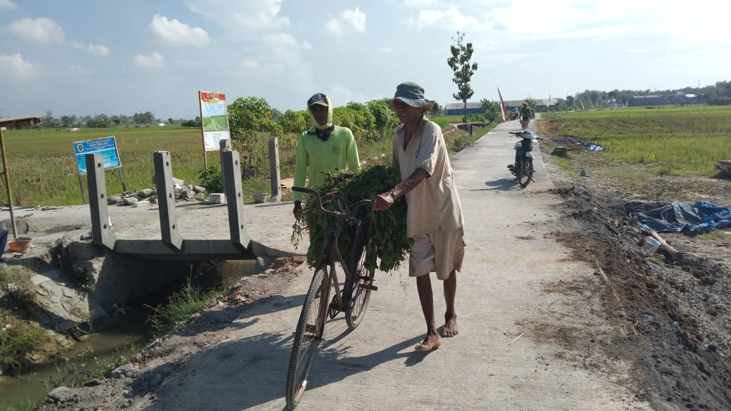 Kesaksian Seorang Warga Desa Tamansari Setelah Betonisasi Jalan Rampung