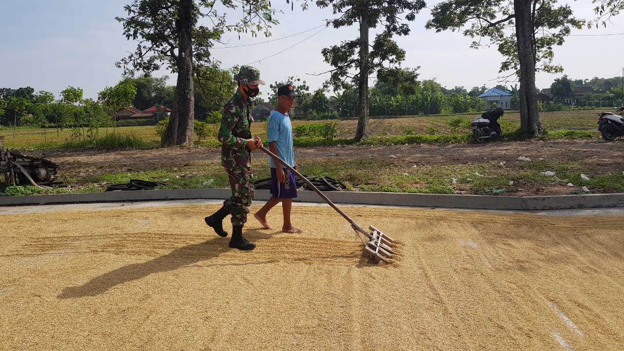 Kehadiran Jalan Betonisasi Sangat Berpengaruh Terhadap Usaha Penggilingan Padi