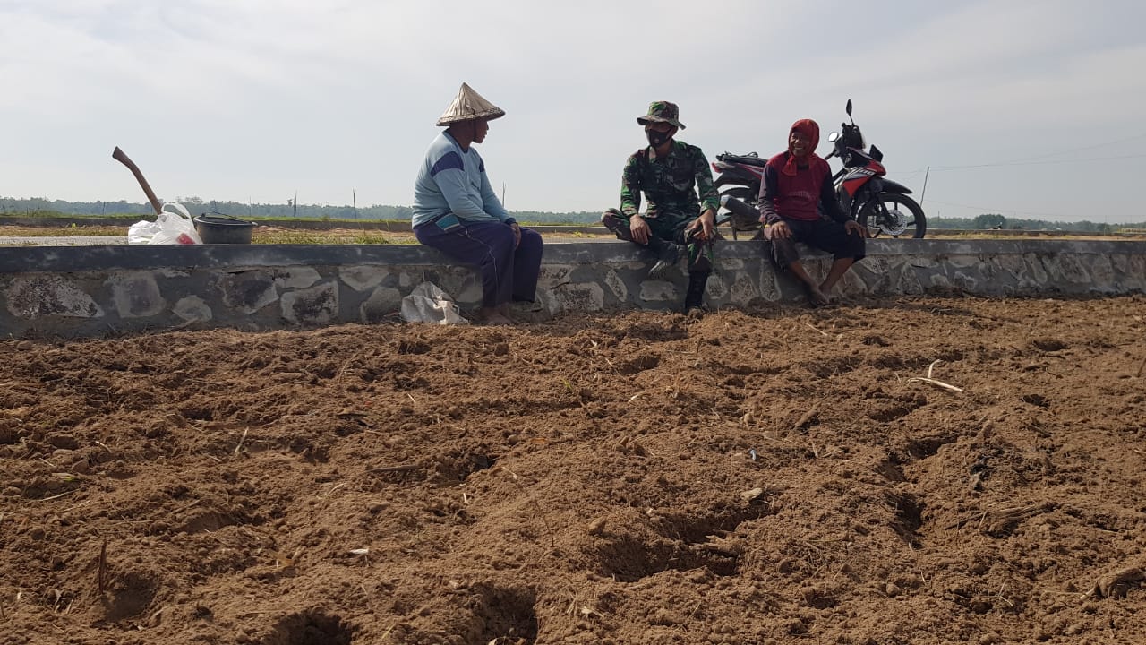 Jalan Betonisasi Memudahkan Warga Mendatangkan Traktor Membajak Dilahannya Jalan Betonisasi Memudahkan Warga Mendatangkan Traktor Membajak Dilahannya