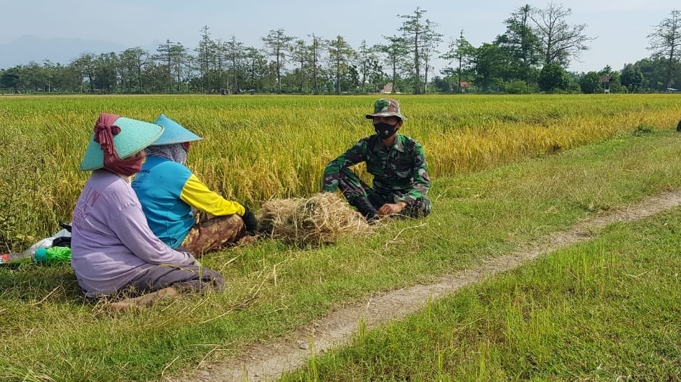 Berkah Jalan Beton Desa Tamansari Juga Dirasakan Oleh Warga Tetangga Desa