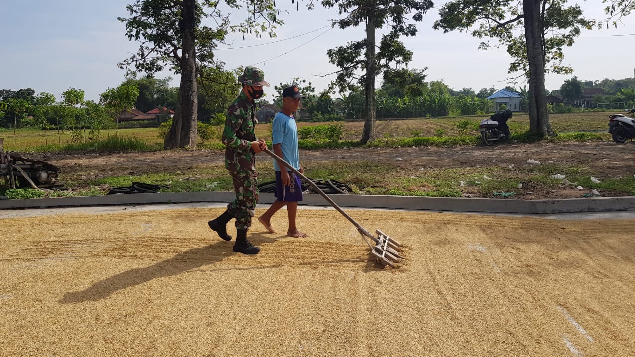 Usaha Masayarakat Sangat Terbantu dengan Adanya Jalan Baru Di Desa Tamansari Usaha Masayarakat Sangat Terbantu dengan Adanya Jalan Baru Di Desa Tamansari