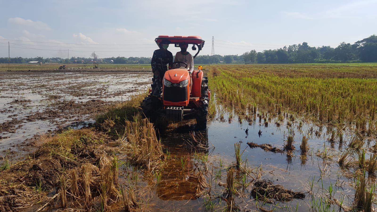 Salah Satu Anggota Satgas TMMD Belajar Membajak Sawah Di Desa Tamansari Salah Satu Anggota Satgas TMMD Belajar Membajak Sawah Di Desa Tamansari