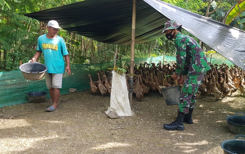 Belejar Beternak Itik Dengan Warga Tamansari