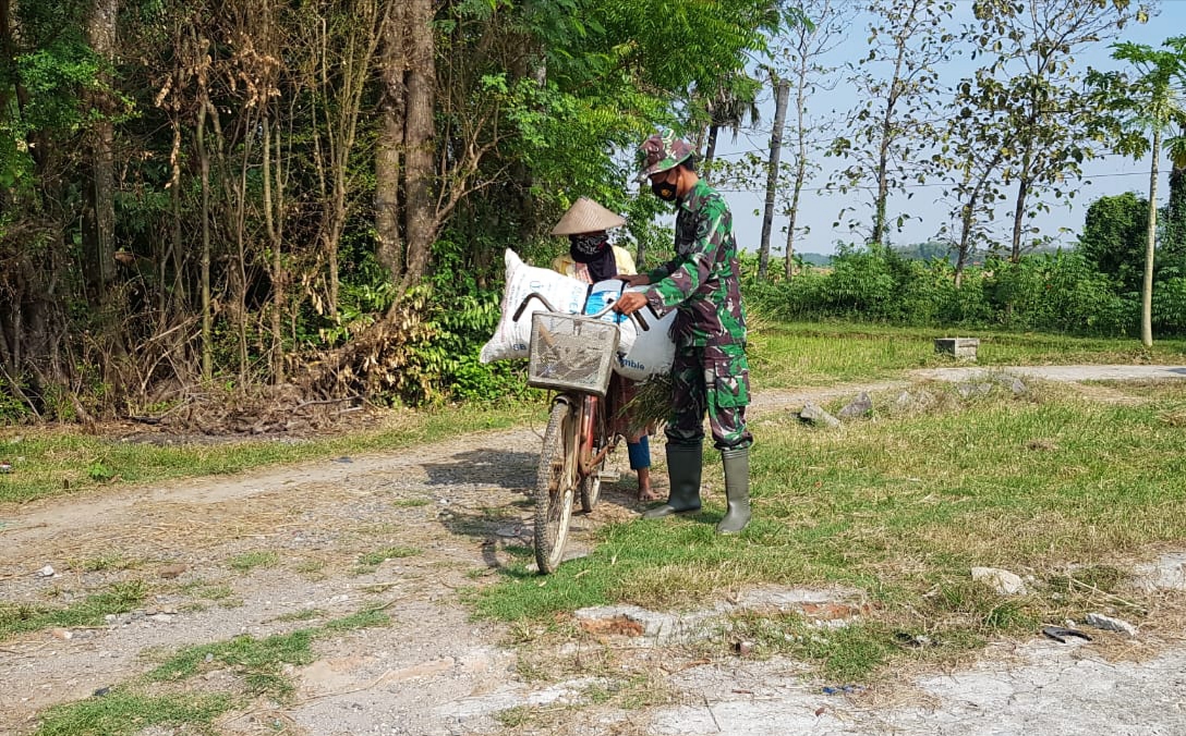 Ngatmi Terharu Ketika Ditolong Serda Sukarji anggota Satgas TMMD