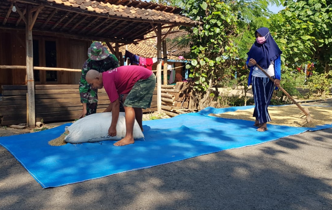 Cuaca Panas, Waktu Tepat Menjemur Gabah Cuaca Panas, Waktu Tepat Menjemur Gabah
