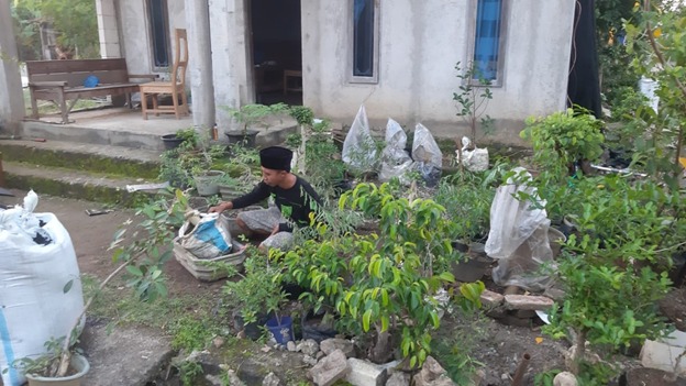 Sepulangnya Satgas TMMD Edi Pranoto Kembali Bekerja Membuat Bonsai Sepulangnya Satgas TMMD Edi Pranoto Kembali Bekerja Membuat Bonsai